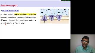 23 Cell biology  Biomolecules Transport  Passive  Active  Bulk mechanisms شرح بالعربي [upl. by Aihseyt]