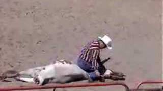 ranch roping  rolling big cattle [upl. by Aneert921]