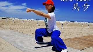 WUSHU TUTORIAL Horse Stance [upl. by Larine]