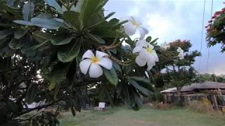 A visit to Kaunakakai Molokai [upl. by Burch415]