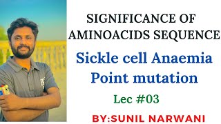 Significance of Amino acid sequence and Sickle cell Anaemia genetic disorder lecture 3 [upl. by Eenar]