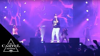 Daddy Yankee  Viva Ventanilla  Perú 2013 Live [upl. by Woo]