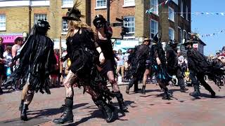 Black Fox at Rochester Sweeps Festival 2018 [upl. by Araet]