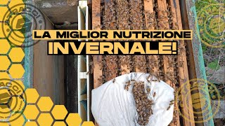 LA MIGLIORE NUTRIZIONE INVERNALE ESISTENTE [upl. by Durward]