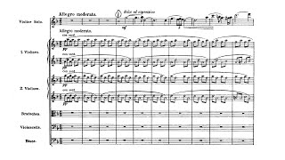 Violin Concerto in D minor Op 47  Sibelius Score [upl. by Imtiaz]