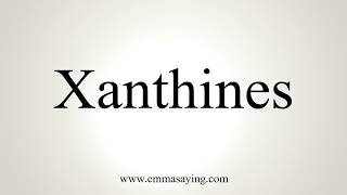 How To Pronounce Xanthines [upl. by Youngman]