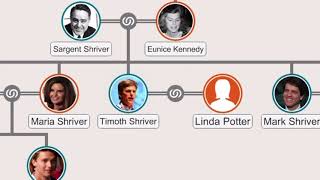 Family Tree of John Kennedy familytree johnkennedy jonh kennedy [upl. by Gundry]