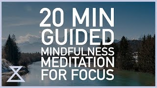 20 Minute Guided Meditation for Focus [upl. by Eiramnna]