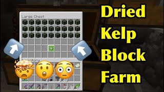 Minecraft Automatic Dried Kelp Block Farm [upl. by Eudocia]