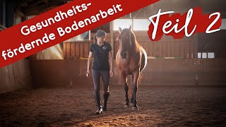 🐎 Vertrauensfördernde Bodenarbeit mit Praxistipps ❤️ [upl. by Adlecirg]