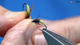 Tying a Latex Caddis Pupa with Davie McPhail [upl. by Arteid921]