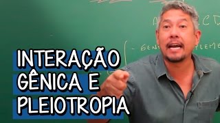 O que é Interação Gênica  Extensivo Biologia  Descomplica [upl. by Nylemaj16]