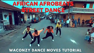 DANCE BY WACONZY OFFICIAL MUSIC VIDEO AFRICAN DANCE MOVES  AFROBEATS 2020 DANCE WORKOUT TUTORIAL [upl. by Thayne]