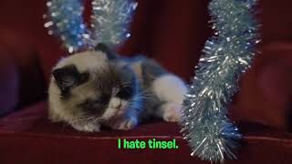 Why Does Grumpy Cat Hate The Holidays [upl. by Hudson611]