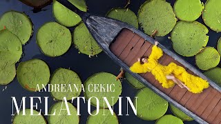 ANDREANA CEKIC  MELATONIN OFFICIAL VIDEO 2024 [upl. by Zanlog]