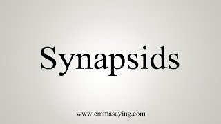 How To Say Synapsids [upl. by Naihs]