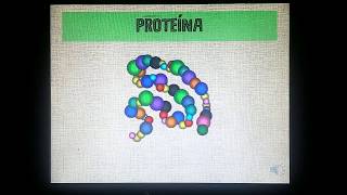 estructura de las proteinas [upl. by Tebazile]