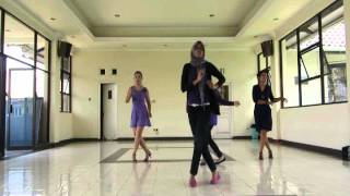 Line Dance Sway  Maya Sofia MILD  Demo [upl. by Dnomasor]