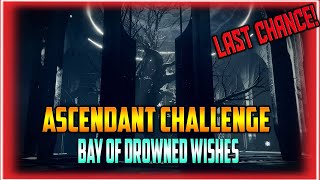 Last Chance to get PREPPED  Ascendant Challenge Bay of Drowned Wishes [upl. by Arah]