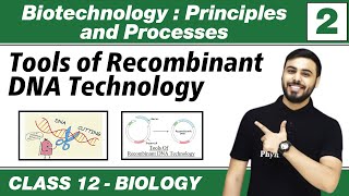 Biotechnology  Principles amp Processes 02  Tools of Recombinant DNA Techonolgy  Class 12th NCERT [upl. by Ynnaj]