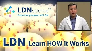 LDNscience® Presents  How LDN Low Dose Naltrexone Works [upl. by Anatol123]