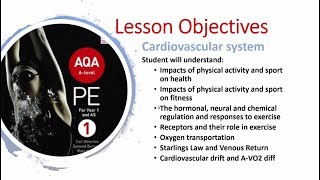 Cardiovascular System Lesson A Level PE  Part 2 [upl. by Grory]