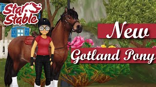 Buying a NEW Gotland Pony  gaits  Star Stable 🐴 [upl. by Idzik]