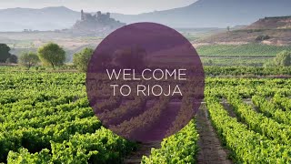 Ultimate Video Guide to the Rioja Wine Region [upl. by Peyter]