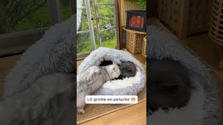 Lit grotte pour chat durant lhiver [upl. by Anaig]