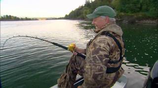 The White Sturgeon Biggest Freshwater Fish in North America [upl. by Emil]