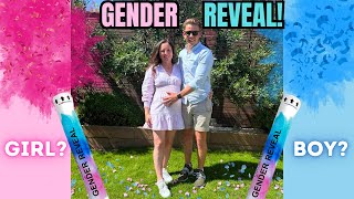 GENDER REVEAL VLOG  BOY OR GIRL  VLOG 155 [upl. by Grearson519]