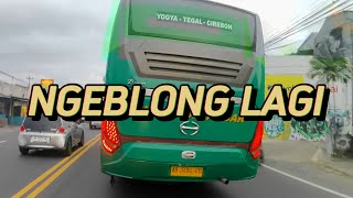 BUS NGEBLONG DI JALAN WATES [upl. by Ramiah]