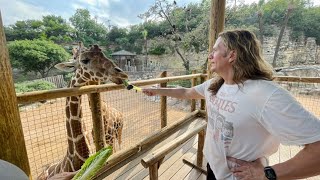 Stephen Pearcy Band get Private Tour of San Antonio Zoo Feed Giraffe’s amp Hippos MLOTR Ep 61 [upl. by Carry]