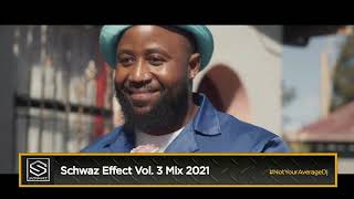 THE SCHWAZ EFFECT VOL 3  AMAPIANO EDITION  DJ SCHWAZ [upl. by Einolem]