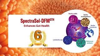 SpectraSol DFM GTH [upl. by Doe]