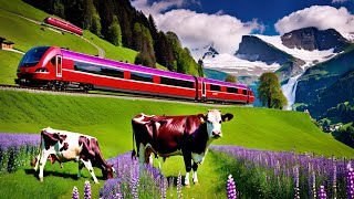 🇨🇭HEAVEN ON THE WORLD  TOP PLACES IN SWITZERLAND  4K 60 FPS WALK TOUR [upl. by Karla]