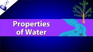 Properties of Water [upl. by Angelo]