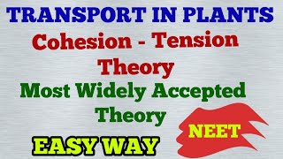 NEET Transport in Plants  Cohesion Tension Theory Easy Way  NEET [upl. by Intyre]