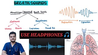 LUNG SOUNDS  Normal amp Abnormal Wheeze  Rhonchi  Rales  Rub   Breath Sounds [upl. by Ahtiuqal]