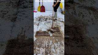 YouTubes most satisfying carpet cleaning process ❤️‍🔥 [upl. by Ziana]