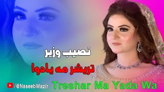 Naseeb Wazir New Songs 2024 Treshar Ma Yada Wa  Pashto Hit Songs 2024 [upl. by Bow994]