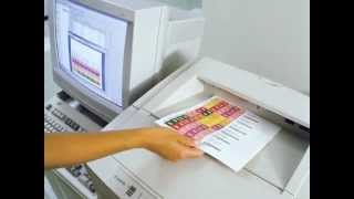 File Folder Labeling Software  Printing Filing Name Labels from Your Printer [upl. by Ahgiel908]