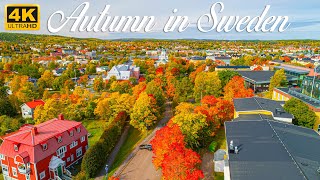 Autumn in Härnösand Sweden Drone Footage 2020 4K Autumn in Northern Sweden Sweden Travel Vlog [upl. by Stander250]