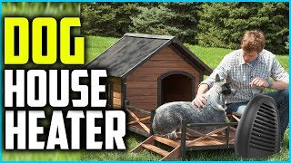 ✅ Top 5 Best Dog House Heater of 2024 [upl. by Jansen112]