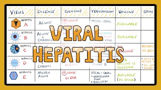 Viral Hepatitis Comparison in 3 Minutes  What are the different types of Viral Hepatitis [upl. by Obie189]