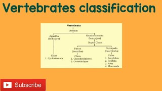 Vertebrates classification [upl. by Neelrahs]