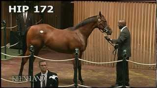 Havre de Grace selling in the Keeneland September 2008 Sale [upl. by Amuwkuhc]