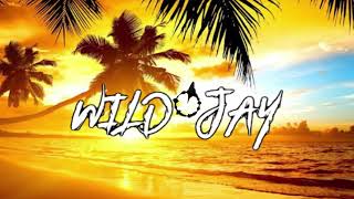 HENZZIICHEATLOVER WILDJAY 🍍💯🍍 [upl. by Ayhtin]