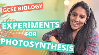 AQA GCSE Biology 91 Required Practical  Photosynthesis [upl. by Sowell16]