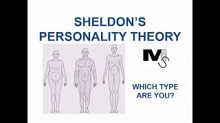 Sheldons Personality Theory  Simplest explanation Ever [upl. by Isabelle371]